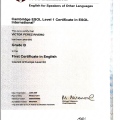 Ampliar imagen: certificate 6
