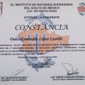 Ampliar imagen: certificate 4