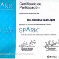 Ampliar imagen: certificate 2