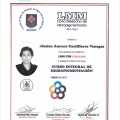 Ampliar imagen: certificate 13