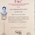 Ampliar imagen: certificate 17