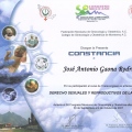 Ampliar imagen: certificate 9