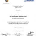 Ampliar imagen: certificate 4