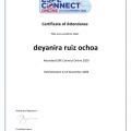 Ampliar imagen: certificate 16