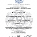 Ampliar imagen: certificate 12