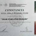 Ampliar imagen: certificate 5