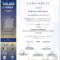 Ampliar imagen: certificate 3