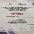 Ampliar imagen: certificate 19