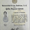 Ampliar imagen: certificate 2