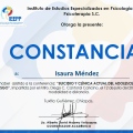 Ampliar imagen: certificate 11
