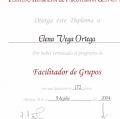 Ampliar imagen: certificate 17