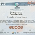 Ampliar imagen: certificate 9