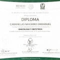 Ampliar imagen: certificate 8