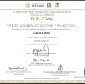 Ampliar imagen: certificate 4