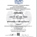 Ampliar imagen: certificate 7
