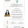 Ampliar imagen: certificate 3