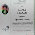 Ampliar imagen: certificate 3