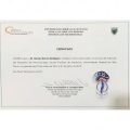 Ampliar imagen: certificate 12