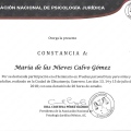 Ampliar imagen: certificate 17