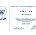 Ampliar imagen: certificate 2