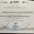 Ampliar imagen: certificate 7