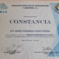 Ampliar imagen: certificate 5