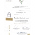 Ampliar imagen: certificate 2