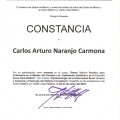 Ampliar imagen: certificate 6
