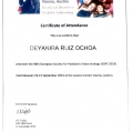 Ampliar imagen: certificate 6