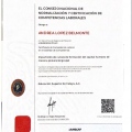 Ampliar imagen: certificate 2