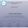 Ampliar imagen: certificate 8