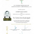 Ampliar imagen: certificate 4