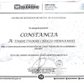 Ampliar imagen: certificate 41