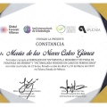 Ampliar imagen: certificate 14