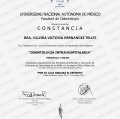Ampliar imagen: certificate 5