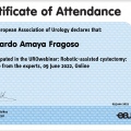 Ampliar imagen: certificate 2