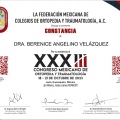 Ampliar imagen: certificate 3