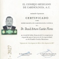Ampliar imagen: certificate 1