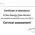 Ampliar imagen: certificate 8