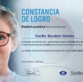 Ampliar imagen: certificate 7