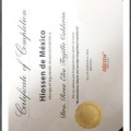 Ampliar imagen: certificate 1