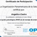 Ampliar imagen: certificate 4