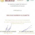 Ampliar imagen: certificate 5
