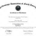 Ampliar imagen: certificate 4