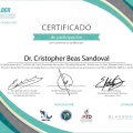Ampliar imagen: certificate 5