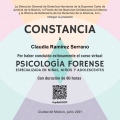 Ampliar imagen: certificate 3