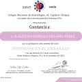 Ampliar imagen: certificate 6