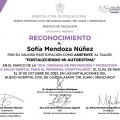 Ampliar imagen: certificate 3