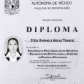 Ampliar imagen: certificate 1
