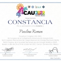 Ampliar imagen: certificate 6